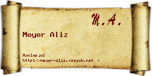 Meyer Aliz névjegykártya